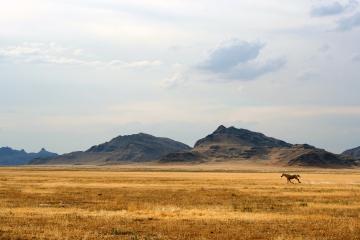 开云体育app-洛杉矶铁幕，北京悲歌，克莱持续制造杀伤，湖人强行终结比赛