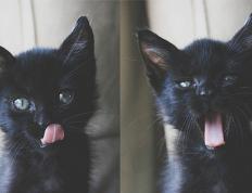 开云体育APP下载-山西队掀翻快船，拉文抢七接管比赛，体育叙事中不可能的永恒诱惑