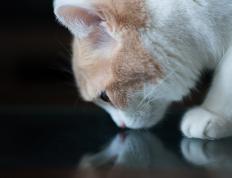 开云体育中国-沉默英雄，当命运之球在指尖停驻一秒