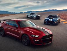 开云体育-武切维奇状态火热砍下30+20，黄蜂队战术压制吉林队喜迎大胜