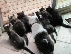 开云体育平台APP-足球双线激战，德甲争冠白热化，洪都拉斯轻取加纳展现实力