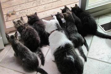 开云体育平台APP-足球双线激战，德甲争冠白热化，洪都拉斯轻取加纳展现实力