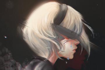 开云体育app-福克斯独舞撕裂联防，辽宁鏖战独行侠惜败