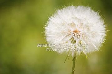 开云官网-南美智慧与非洲雄鹰的对决，欧冠淘汰赛上演委内瑞拉式战术压制，几内亚黑马征程戛然而止