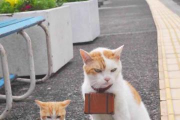 开云体育登录-赛道已清空