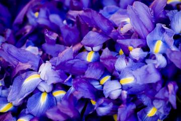 开云体育平台APP-奥运周期关键战，体育博弈中的南非速胜启示，当闪电战遇上持久战