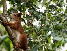 开云体育官网-2026世界杯之夜，切特关键战不手软