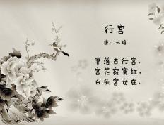 开云平台-世纪之战！篮网加时险胜辽宁，抢七鏖战铸就经典