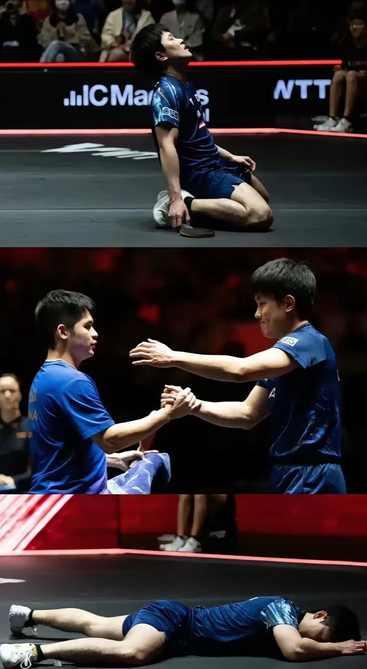 开云体育官方网站-波兰队横扫中国队，张本智和扛起全队