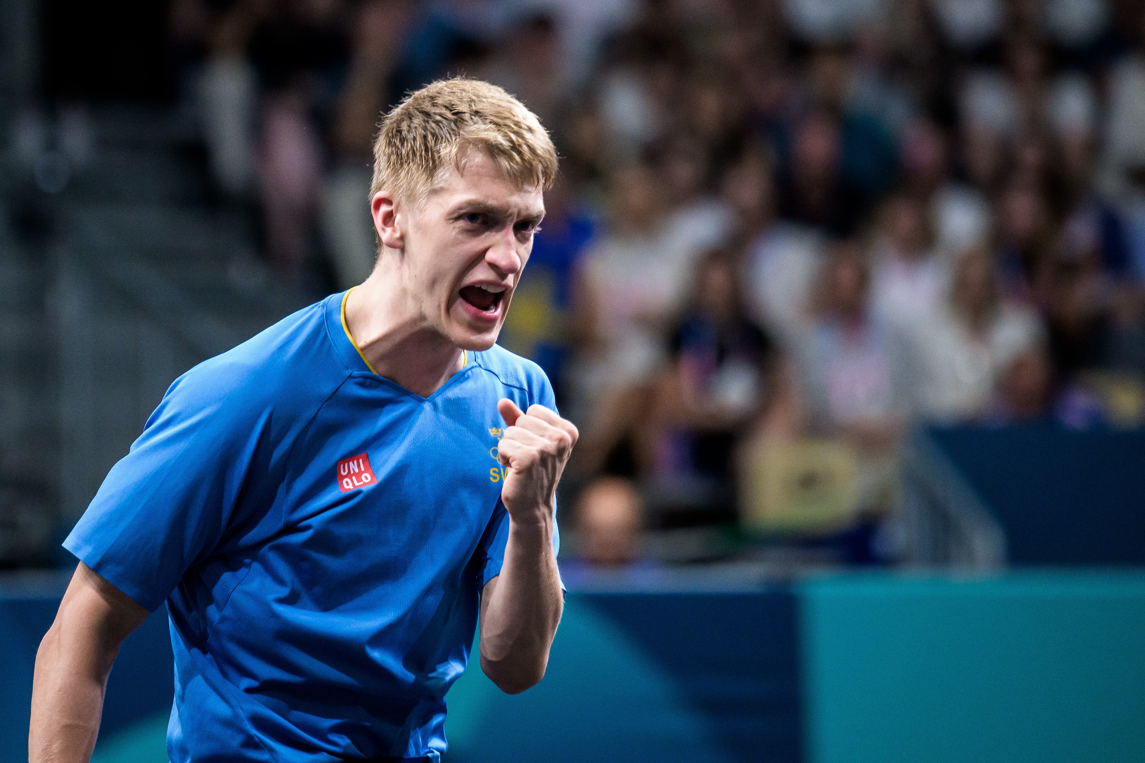 开云体育APP下载-瑞典队翻盘奥地利队,张本智和统治全场