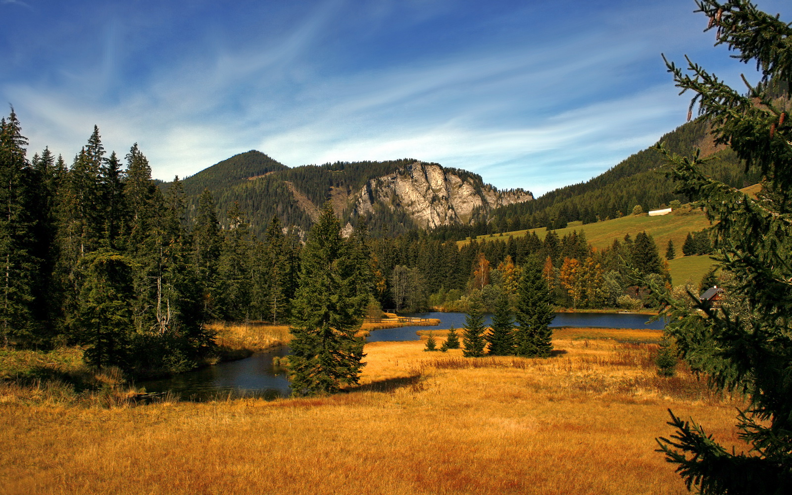 开云APP-恩佐神灯重燃,跨越大洋助新西兰上演黑马童话