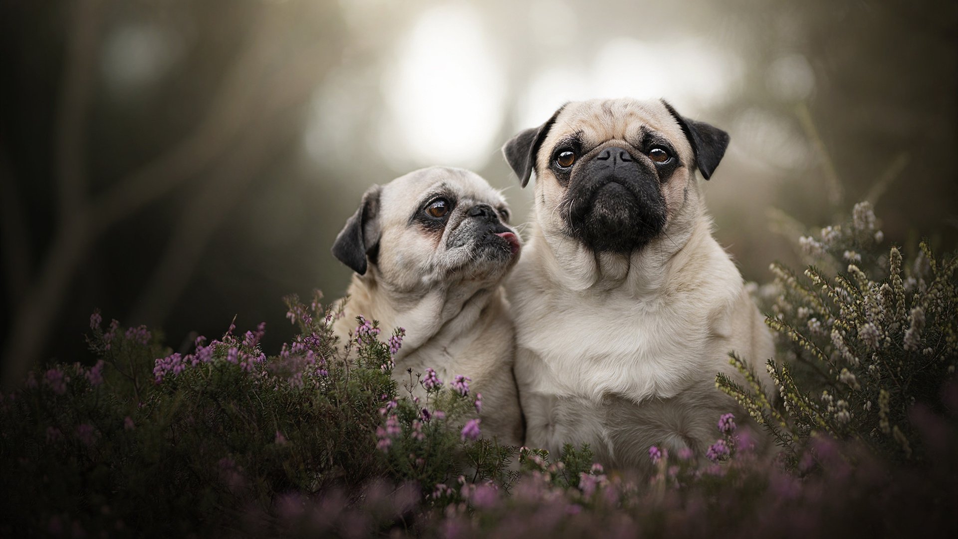 开云体育登录-德甲争冠战焦点战，里昂打穿瑞典的战术启示与联赛震荡