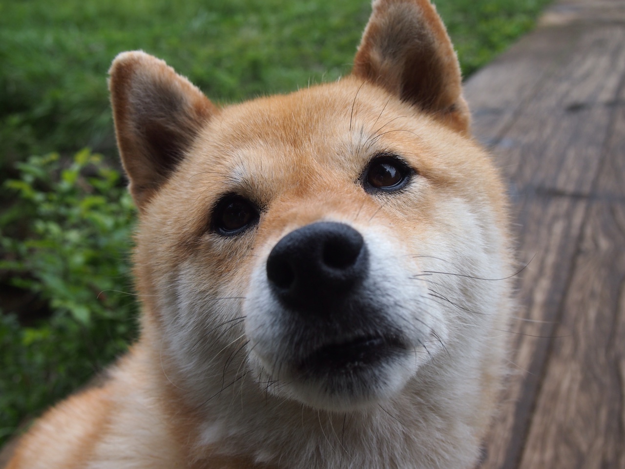 开云体育登录-拉亚自我救赎与药厂不败神话，足球世界里，比天赋更坚韧的是什么？