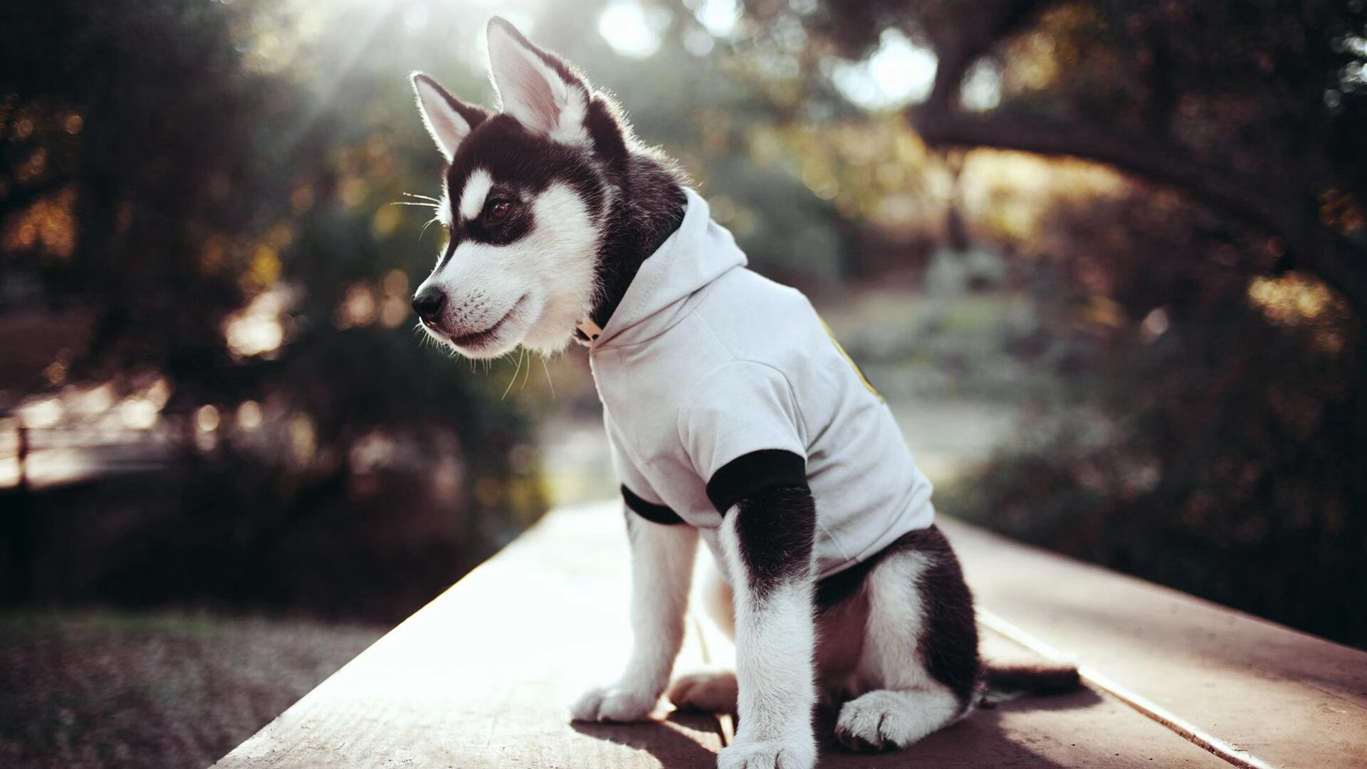 开云体育官方网站-绿茵场上的逆转诗篇,莫德里奇以巨星光芒点亮雷恩奇迹