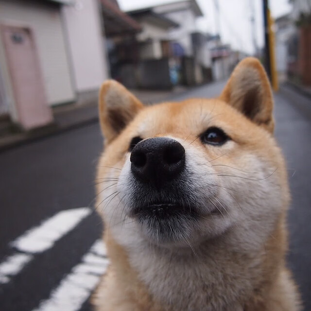 开云体育官方网站-绿茵与硬木的战术交响，当世界杯焦灼遇上凯尔特人的压制艺术