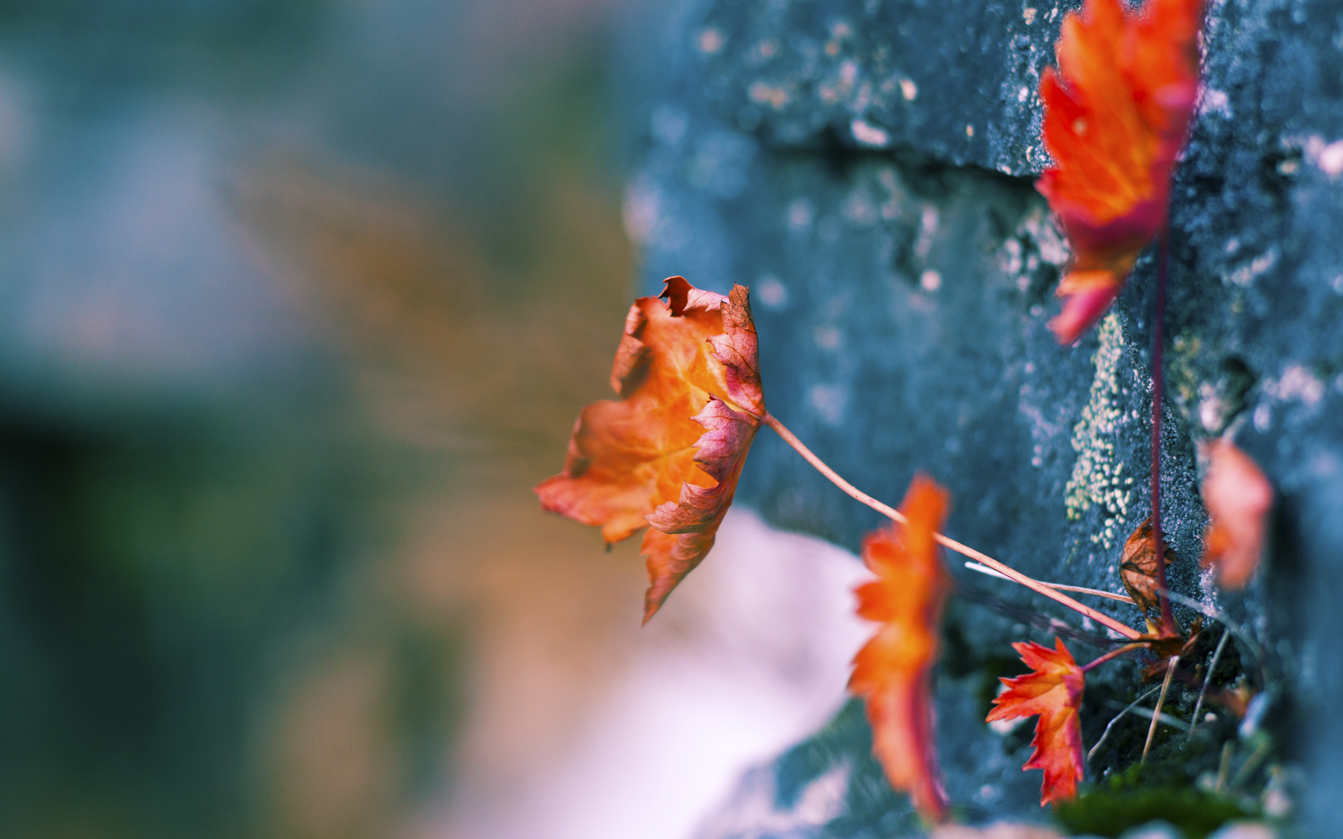 开云体育登录-毕尔巴鄂客场2-0攻陷索尔纳，莱万精准制导成关键先生