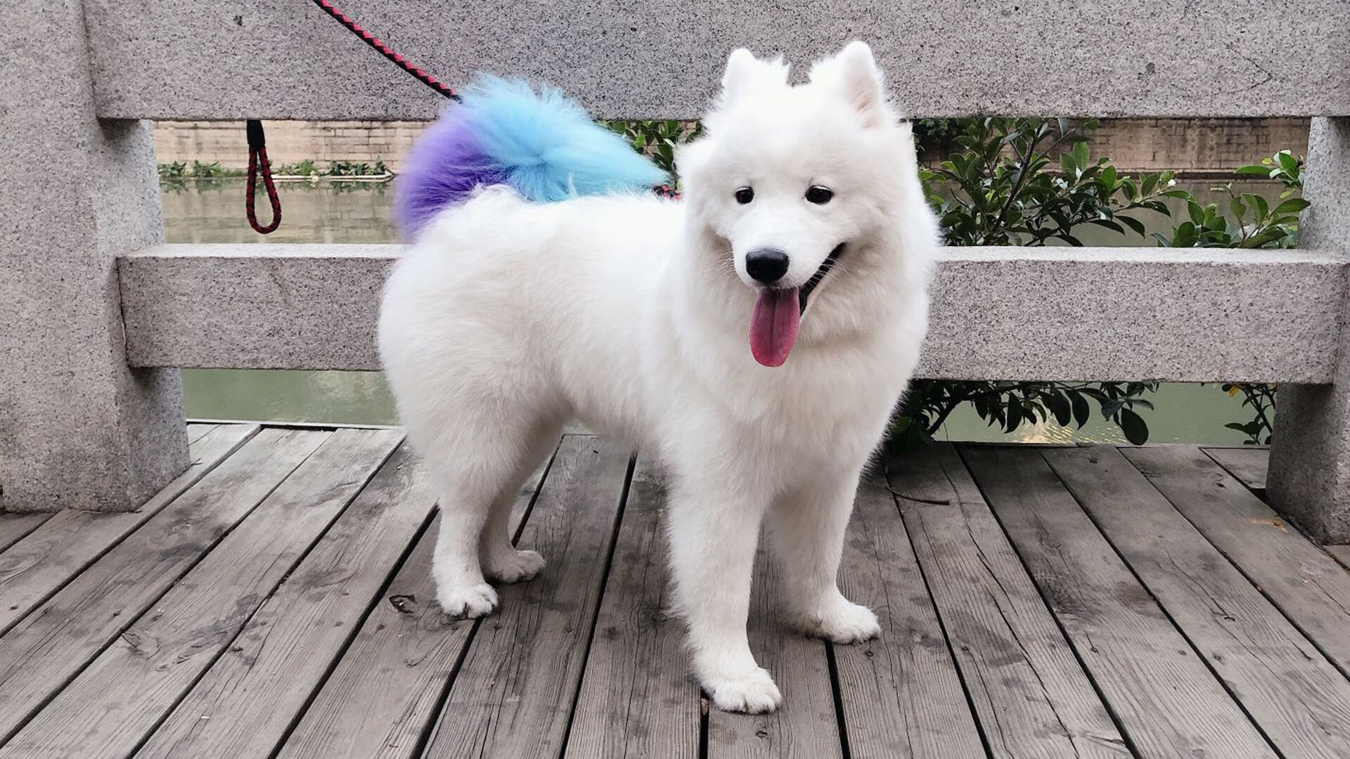 开云体育中国-哈登对手完全无解，太阳争冠战胜出老鹰