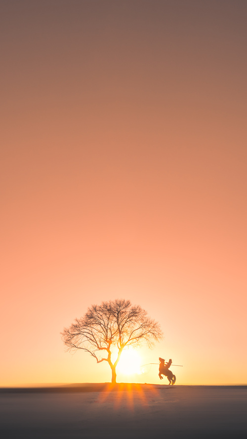 开云体育app-赛道与球场的双重变奏，当马克西的咆哮遇见森林狼的战术铁幕