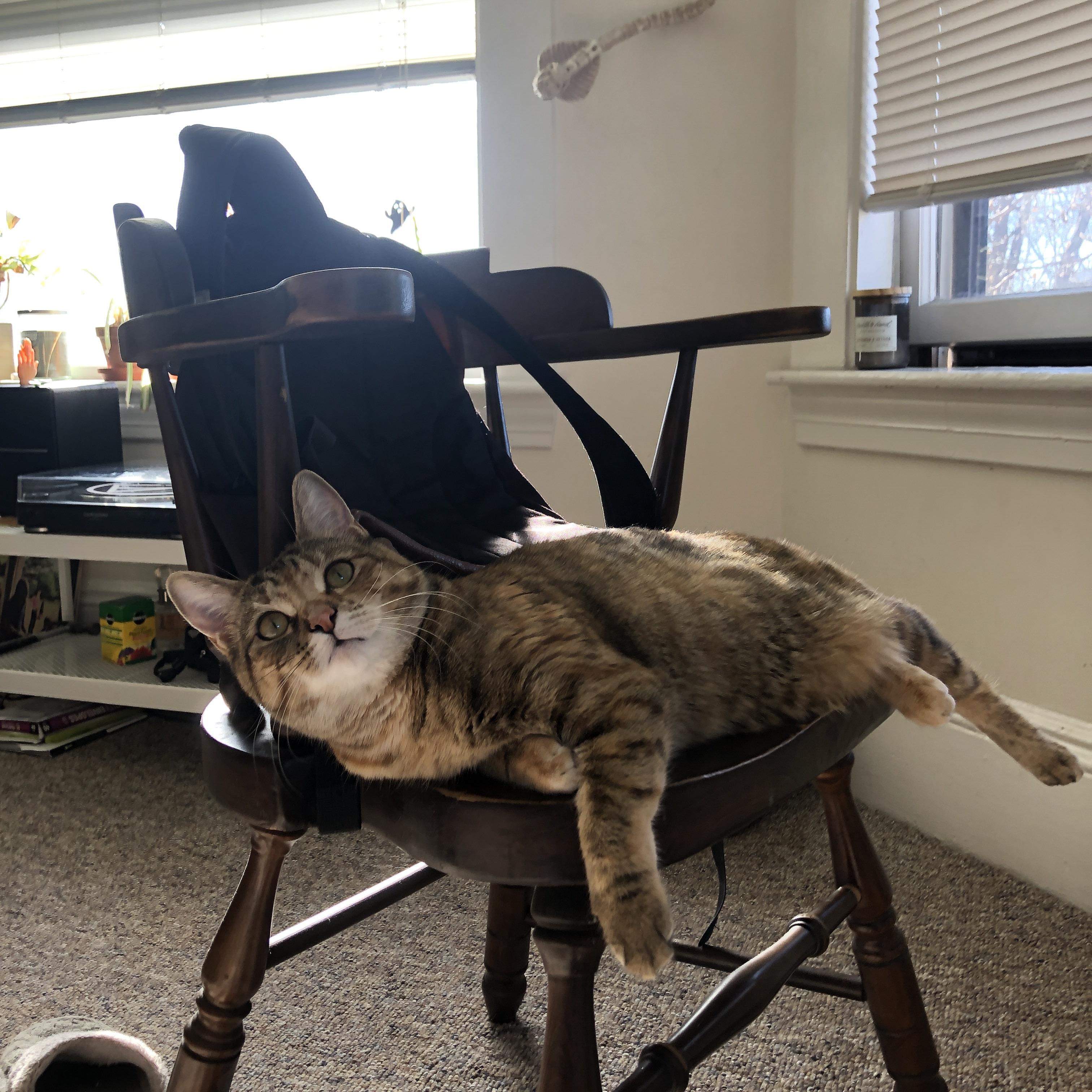 开云APP-梅西神威独步,厄瓜多尔关键战逆袭摩洛哥