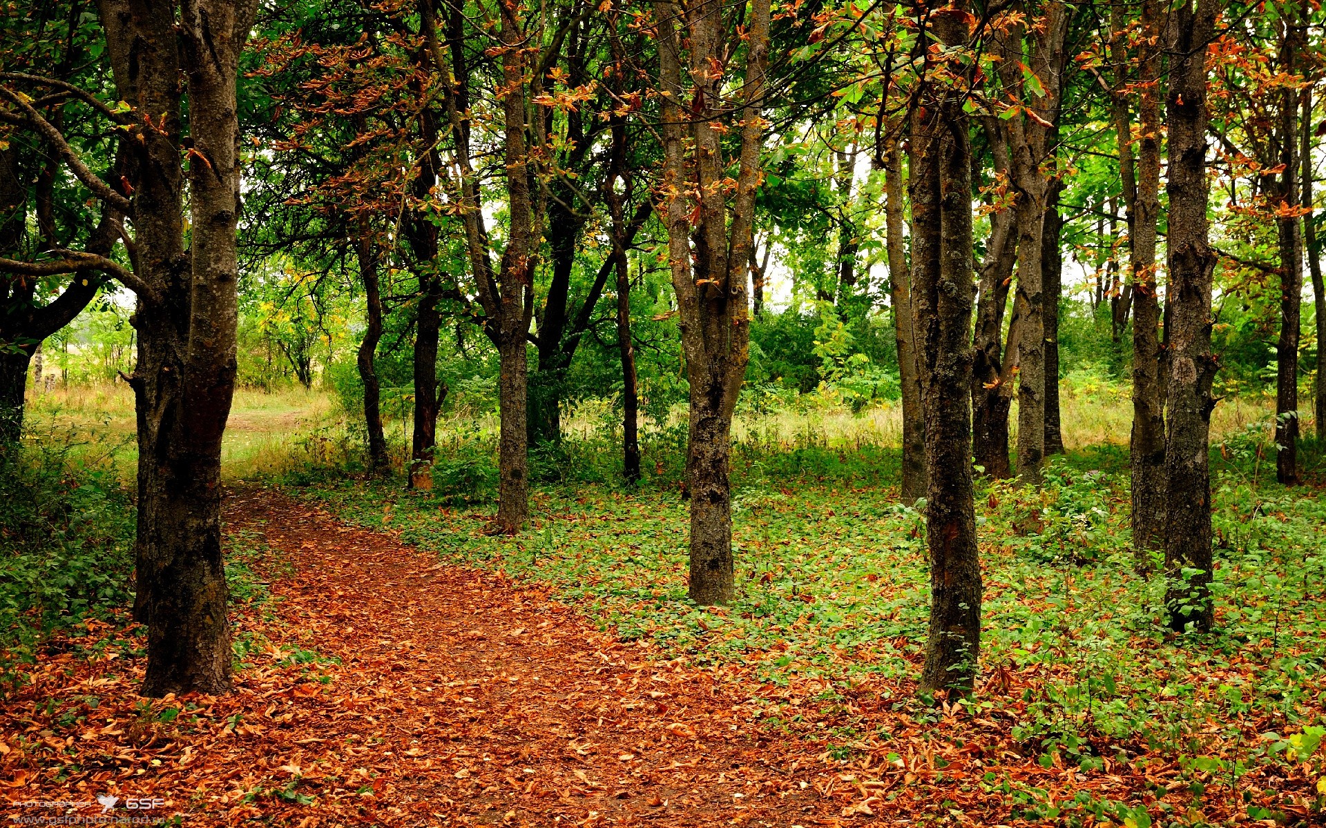 开云APP-东瀛夜，红黑军稳如泰山；决胜时，巴雷拉天神下凡