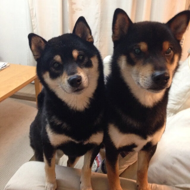 开云体育官方网站-切尔西鏖战抢七,硬仗取胜拉齐奥,晋级之路再添辉煌